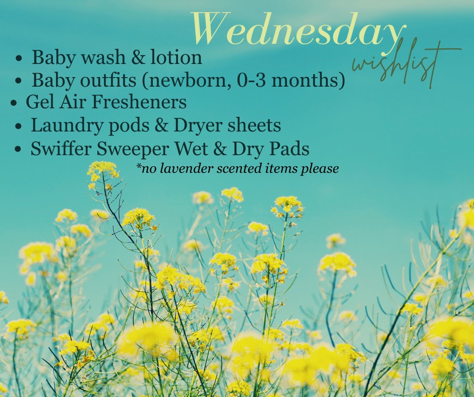 Items in need for the house on Wednesday June 25, 2025